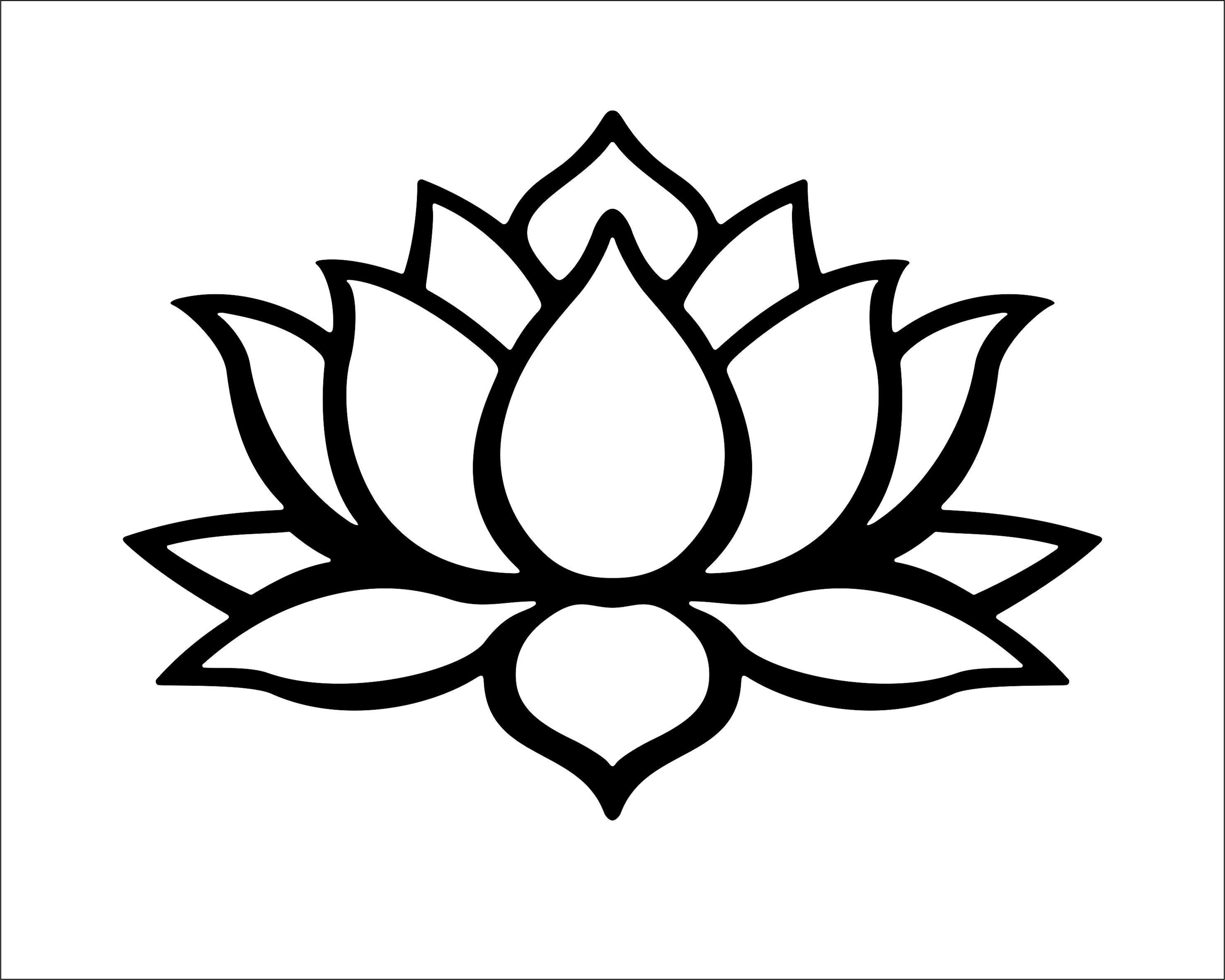 Lotus Flower Www glwec in