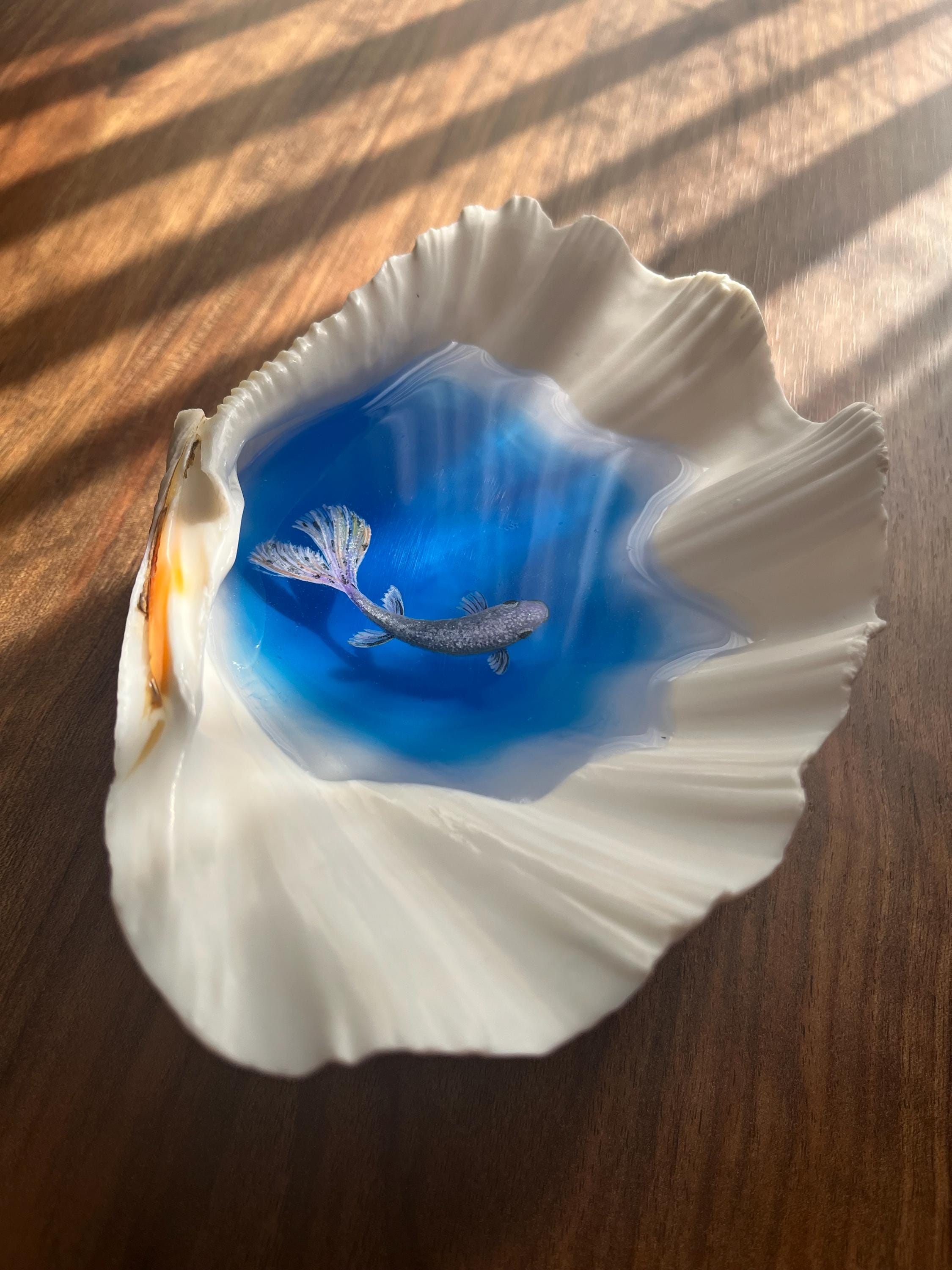 Real Shell Art Real Seashell Art, 3D Fish Illustration, Handmade Ocean Decor, Coastal ...