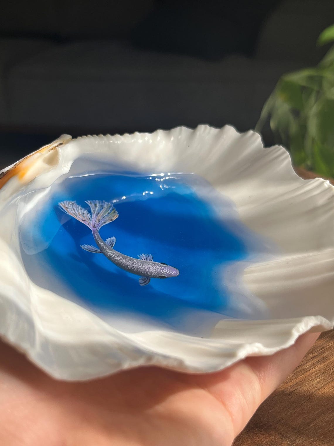 Real Shell Art Real Seashell Art, 3D Fish Illustration, Handmade Ocean Decor, Coastal ...