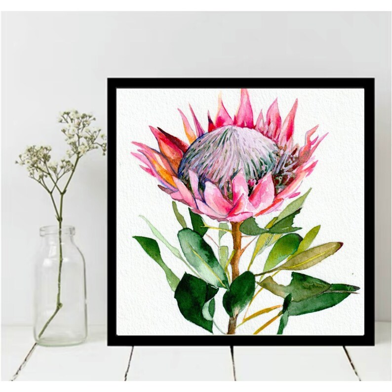 Paint by Number Kit King Protea Wall Decor DIY Kit Adult Etsy