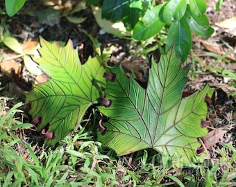 May include: Two green leather maple leaf decorations with dark brown veining and accents. The leaves are lying on grass and surrounded by greenery. The leaves have a realistic design and are likely handmade.