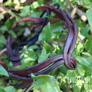 Leather Druid Wood Crown Headpiece | LARP Cosplay Armor | Forest Fae Ivy Leaf | RPGgift DnDgift | Dungeons & Dragons Medieval Ren Faire
