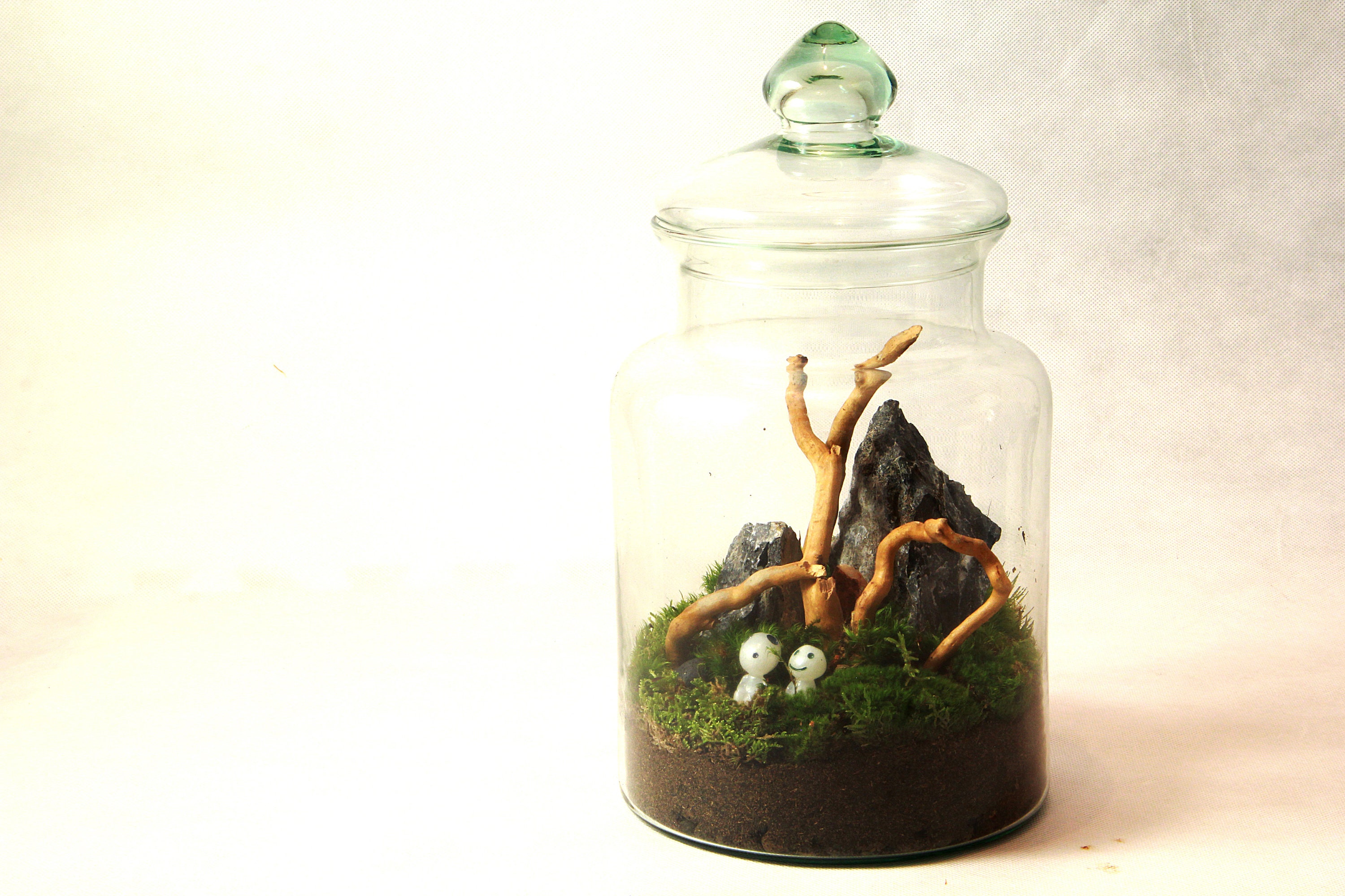 Moss Terrarium KIT Complete DIY set for plant lovers with Etsy
