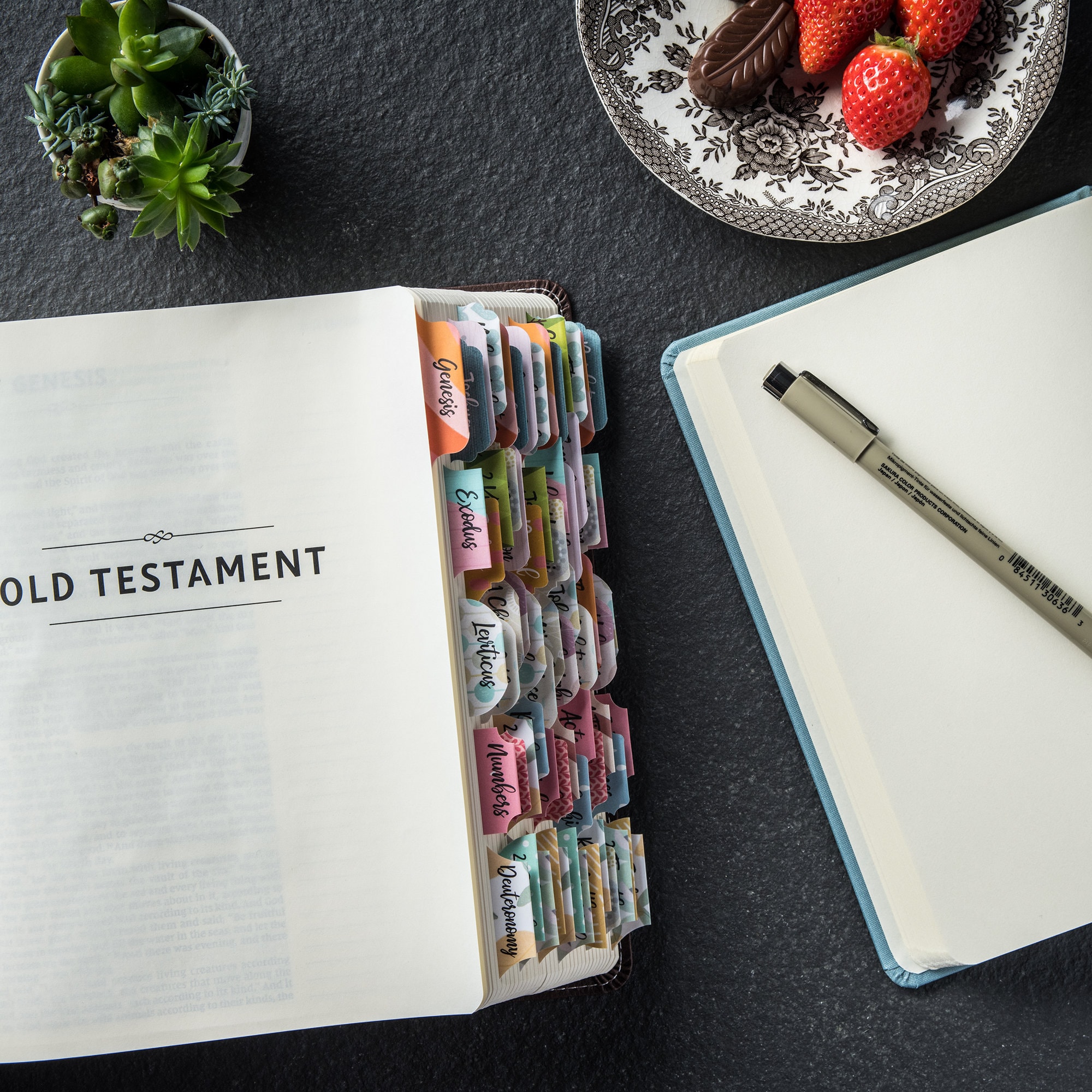 Laminated Bible Tabs With Adhesive easy to Read Easy to Etsy