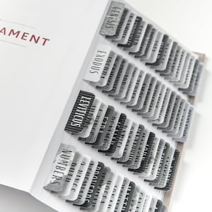 May include: A close-up of a white book with black and white tabs labeled with the books of the Bible, including Genesis, Exodus, Leviticus, and Numbers.
