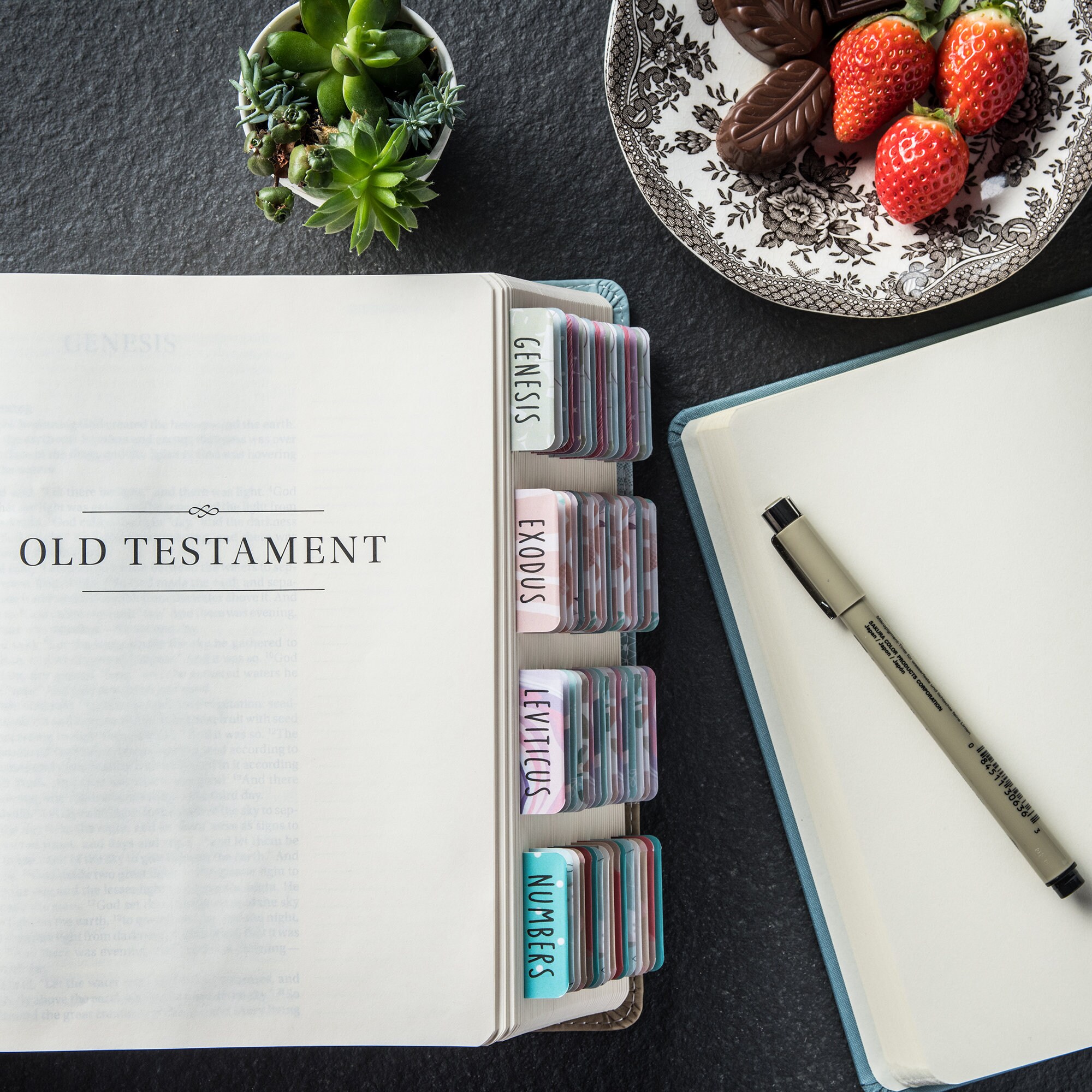 Laminated Bible Tabs with Adhesive Easy to Read Easy to Etsy