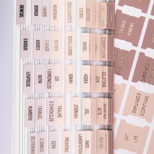 May include: A close-up of a set of pink and beige bible tabs with gold lettering. The tabs are labeled with the names of the books of the Bible, including Genesis, Exodus, Leviticus, Numbers, Deuteronomy, Joshua, Judges, Ruth, 1 Samuel, 2 Samuel, 1 Kings, 2 Kings, 1 Chronicles, 2 Chronicles, Ezra, Nehemiah, Esther, Job, Psalms, Proverbs, Ecclesiastes, Song of Songs, Isaiah, Jeremiah, Lamentations, Ezekiel, Daniel, Hosea, Joel, Amos, Obadiah, Jonah, Micah, Nahum, Habakkuk, Zephaniah, Haggai, Zechariah, Malachi, Matthew, Mark, Luke, John, Acts, Romans, 1 Corinthians, 2 Corinthians, Galatians, Ephesians, Philippians, Colossians, 1 Thessalonians, 2 Thessalonians, 1 Timothy, 2 Timothy, Titus, Philemon, Hebrews, James, 1 Peter, 2 Peter, 1 John, 2 John, 3 John, Jude, and Revelation.