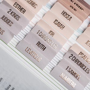 Rose Gold Bible Tabs: Laminated Bible Journaling Stickers, Embossed Lettering - Pearl image 1