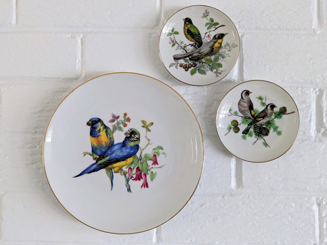 Vintage Bird Plates SET of 3 Curated Mixed & Matched Bird Etsy