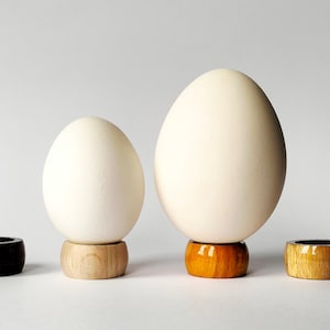 Puede incluir: Tres soportes para huevos de madera, cada uno con una mancha de color diferente. Los soportes están en una fila de izquierda a derecha, con un soporte marrón, un soporte de madera clara y un soporte amarillo. Cada soporte tiene un huevo blanco sentado encima.