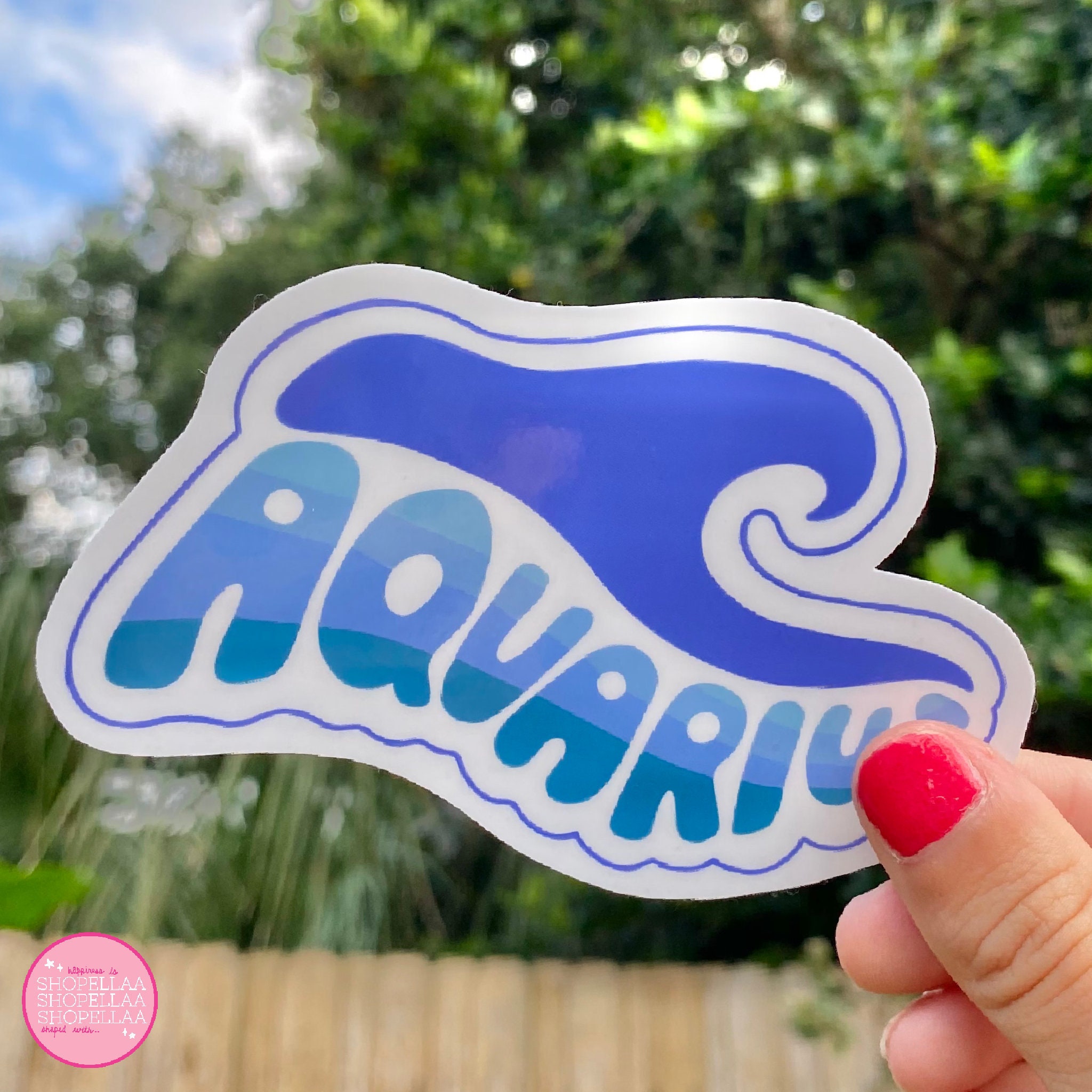 Aquarius Vinyl Sticker Best Friend Gift Zodiac Sign Etsy