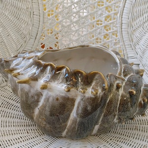 May include: A brown and white ceramic seashell planter with a textured surface. The planter is shaped like a large seashell and has a wide opening at the top.