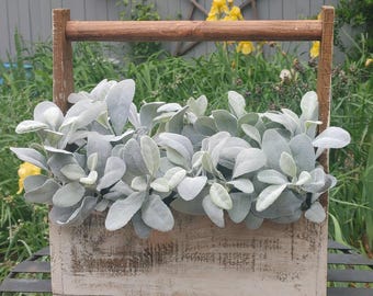 LAMB'S EAR COLLECTION