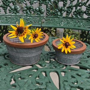 FLOWER FROG PAILS:  Rustic Galvanized Metal Pair