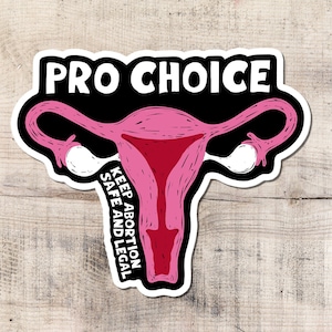 Adesivo Pro Choice, Diritti, Femminista, Adesivo in vinile, Aborto, Attivismo, Sinistra, Resistere, Il mio corpo La mia scelta