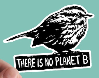 No Planet B Vinyl Sticker, Activist, Earth, Environmental Decal
