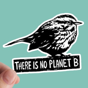 No Planet B Sticker, Attivista, Diritti, Vinyl Sticker, Ambiente, Pianeta, Clima, Ecologista, No Planet B, Terra