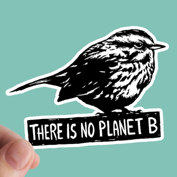 No Planet B Sticker, Activist, Rights, Vinyl Sticker, Environment, Planet, Climate, Ecologist, No Planet B, Earth