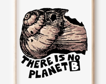 Stampa artistica "No Planet B", poster ecologico