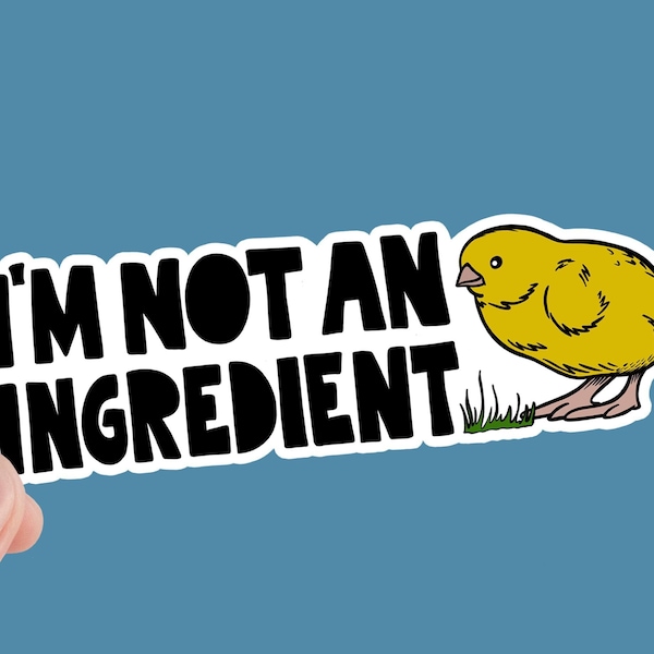 Veganism Sticker, 'Friends Not Food' Decal, Waterproof Vinyl