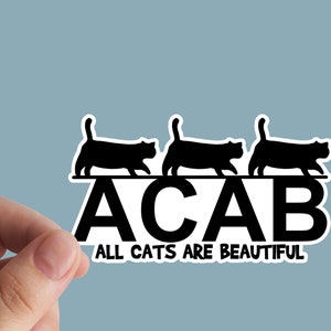 Autocollant ACAB, Socialisme, Résister, Defund La Police, Tous les chats sont beaux, AntiCapitalisme, Anarchie, Socialiste