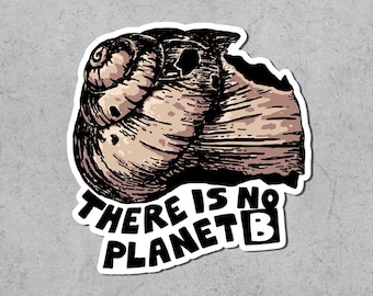 No Planet B Vinyl Sticker, Climate Awareness, Ecologist Gift
