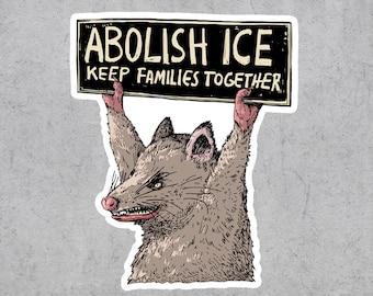 Abolish Ice Sticker, Anti Racist, No Human Is Illegal, Anarchist, AntiCapitalism, Social Justice, Abolish
