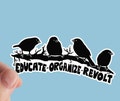 Educate Organize Revolt Sticker, Anti Capitalist, Leftist, Socialist, Eat The Rich, Laptop Stickers, Communist product logo