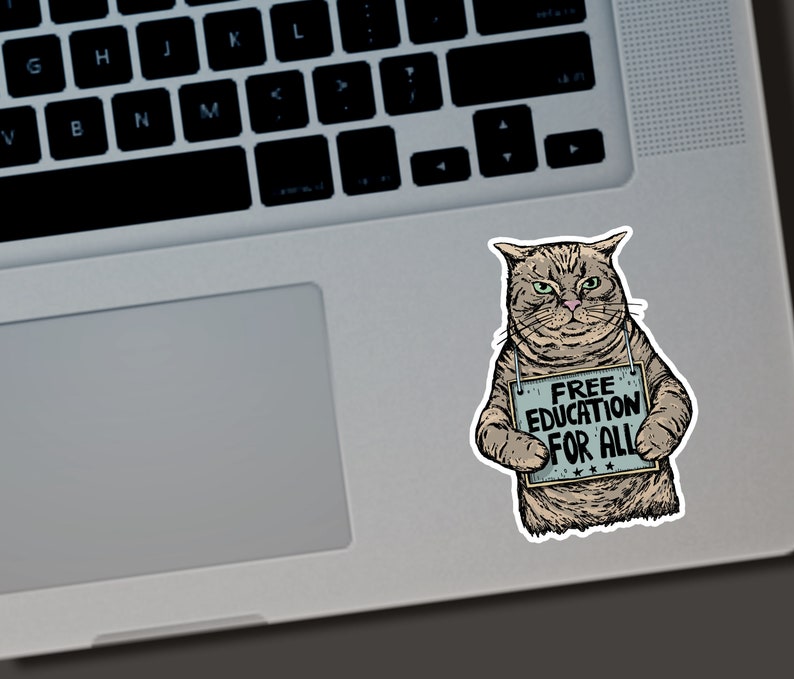 Puede incluir: Una pegatina con un gato gru&ntilde;&oacute;n sosteniendo un cartel que dice "FREE EDUCATION FOR ALL". El gato es de color marr&oacute;n claro y gris con ojos verdes. El cartel es azul claro con texto blanco y estrellas.