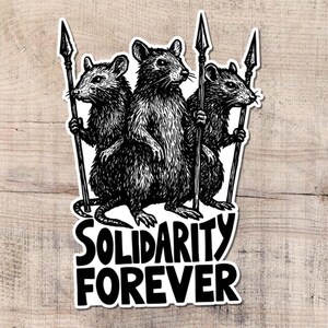 Adesivo di solidarietà, di sinistra, socialista, BLM, adesivi per laptop, benvenuti i rifugiati, uniti, diritti, giustizia sociale, immigrato, rivolta