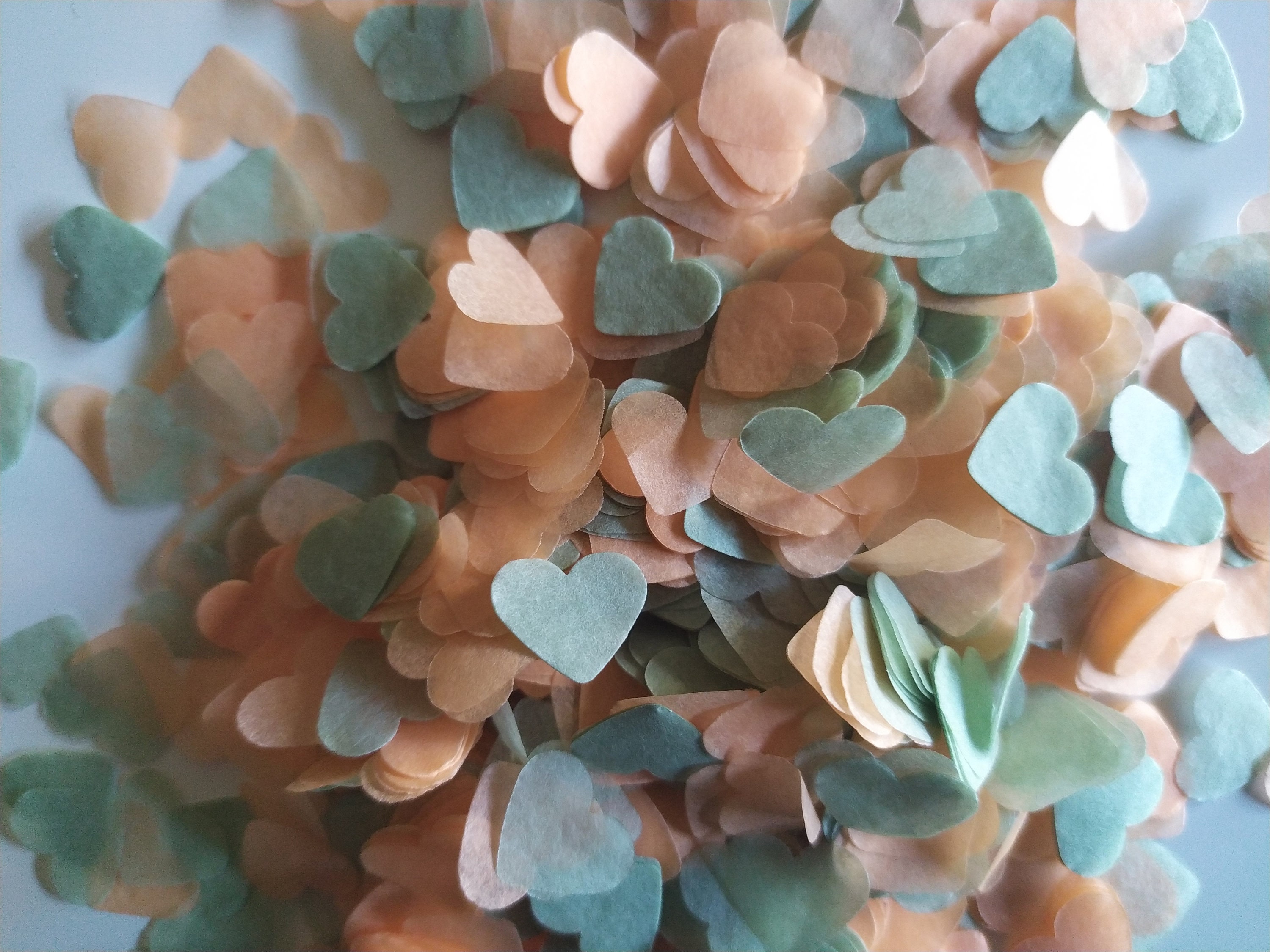 Confetti biodégradable confetti mariage mariage champêtre Etsy France