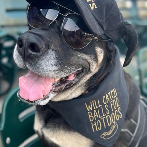 Will Catch Balls for Hotdogs – Funny Dog Bandana | Baseball Dog Accessory | Bark in the Ballpark Dog Outfit | Pet Apparel