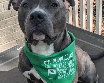 Starbucks dog bandana Clearance