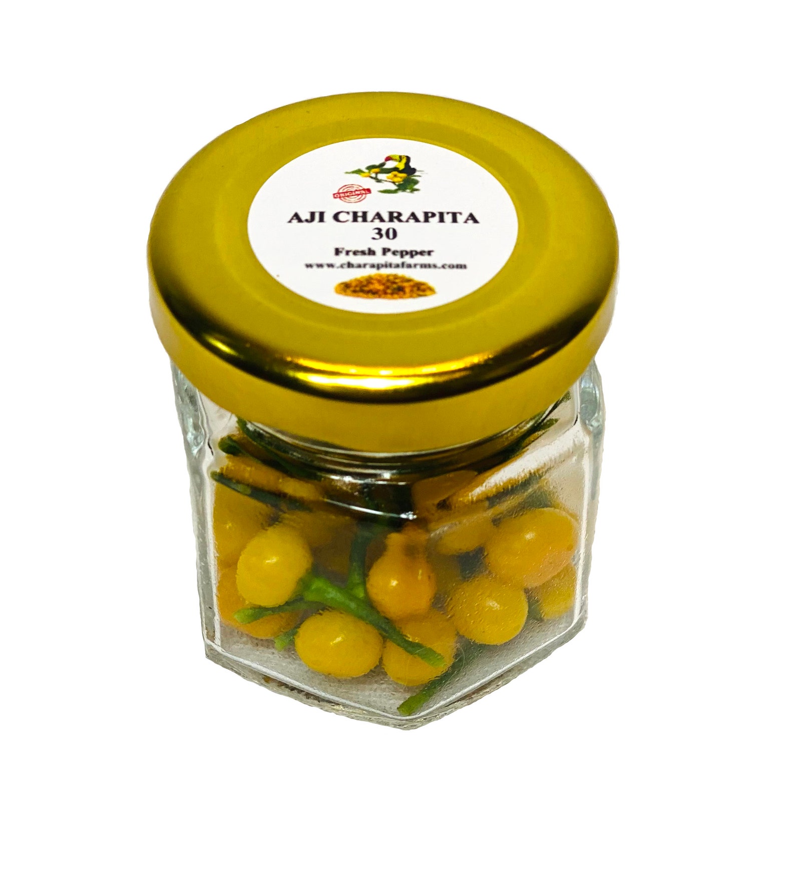 Fresh Aji Charapita Fresh Premium Peruvian Hot Peppers | Etsy