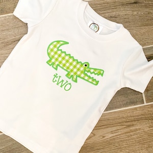 May include: White short-sleeved t-shirt with a green and white gingham alligator applique and the word "TWO" embroidered in green.