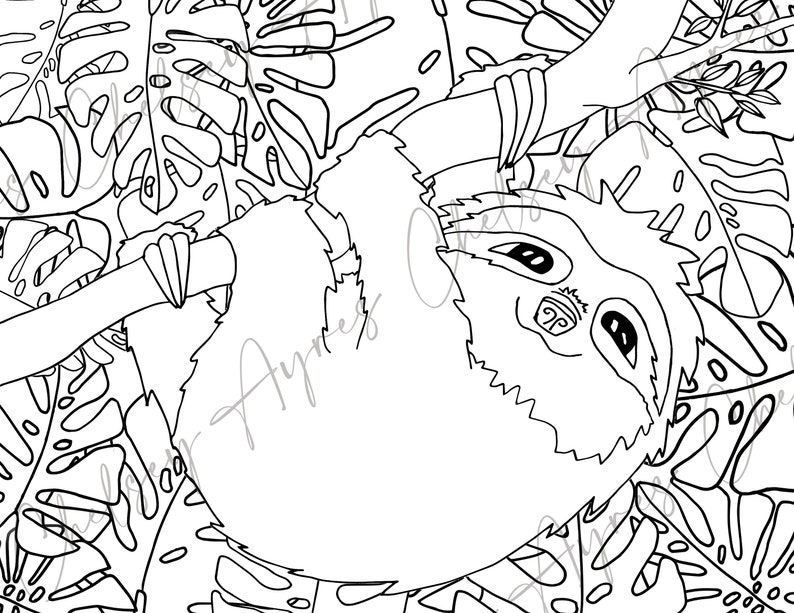 May include: A black and white line drawing of a sloth hanging upside down from a branch, surrounded by tropical leaves. The sloth has large, round eyes and a relaxed expression.