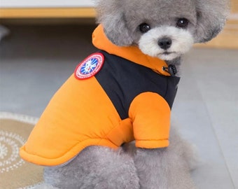 Pet Chilliwack Bomber Jacket -  TANGERINE