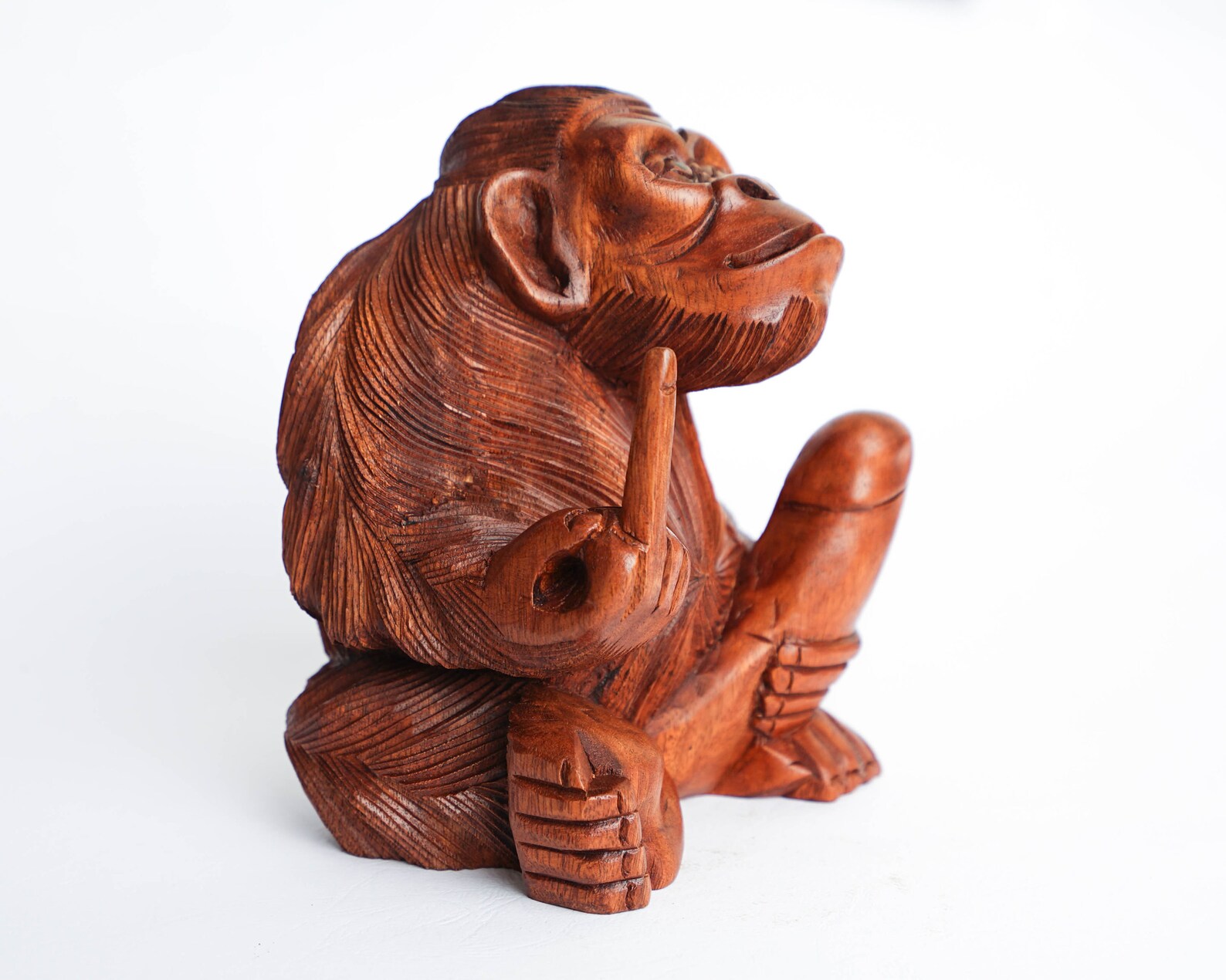 library monkey penis library monkey penis
