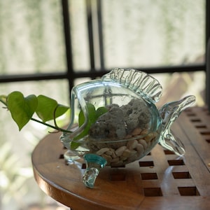 Fish Plant Terrarium, Glass Terrarium, Glass Decoration, Modern Planter, Air Plant Terrarium, Succulent Planter, Room Decor, Patio Decor