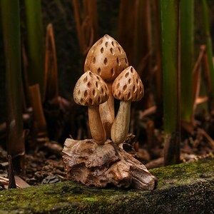 Mushroom Sculpture 6.5 Inch / 16 cm, Personalized Statue, Wooden Carving, Home Decor, Room Decor, Living Room, Office Decor, Gift Idea
