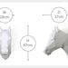 Horse Paper Sculptureprintable PDF Templatehandmade Animal - Etsy