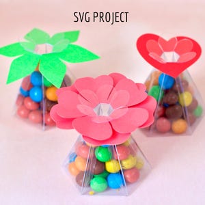 Boîte de chocolat transparent SVG, boîte en acétate SVG, boîte de fleurs SVG, boîte cadeau de remerciement, modèle de machine de découpe, projet Cricut, Silhouette, ScanNcut