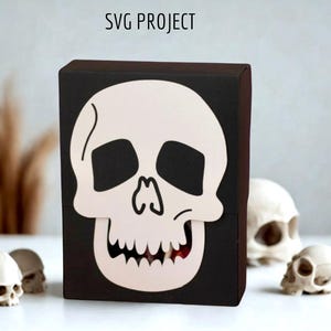 May include: A black box with a white skull design on the front. The skull has black eyes and a white smile. The box is labeled "SVG PROJECT".