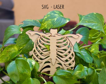 Rib Cage Plant Stake SVG | Lasergesneden anatomiebestand (digitale download)