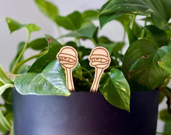 Ogen houten plantenstokje | Grappig plantendecor