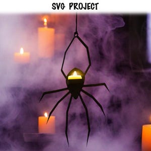 Silhouette Shadow Spiders 10pc Halloween Items Unisex Silhouette Shadow Spiders 10pc Halloween Items Unisex