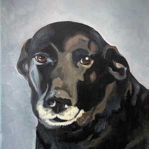 May include: Oil painting of a black dog with brown eyes and a white muzzle. The dog's fur is painted in shades of black and brown, with highlights and shadows. The background is a soft, muted gray.