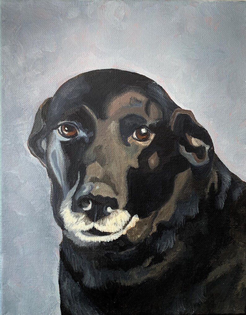 May include: Oil painting of a black dog with brown eyes and a white muzzle. The dog's fur is painted in shades of black and brown, with highlights and shadows. The background is a soft, muted gray.