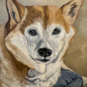 May include: Oil painting of a Shiba Inu dog with a brown and white coat, wearing a small tag on its collar. The dog is looking directly at the viewer. The background is a neutral beige color.