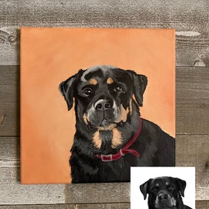 May include: A square canvas painting of a Rottweiler dog with a red collar. The dog has black fur with brown markings around the snout and eyes. The background is a solid peach color. A smaller black and white image of the dog is in the lower right corner.